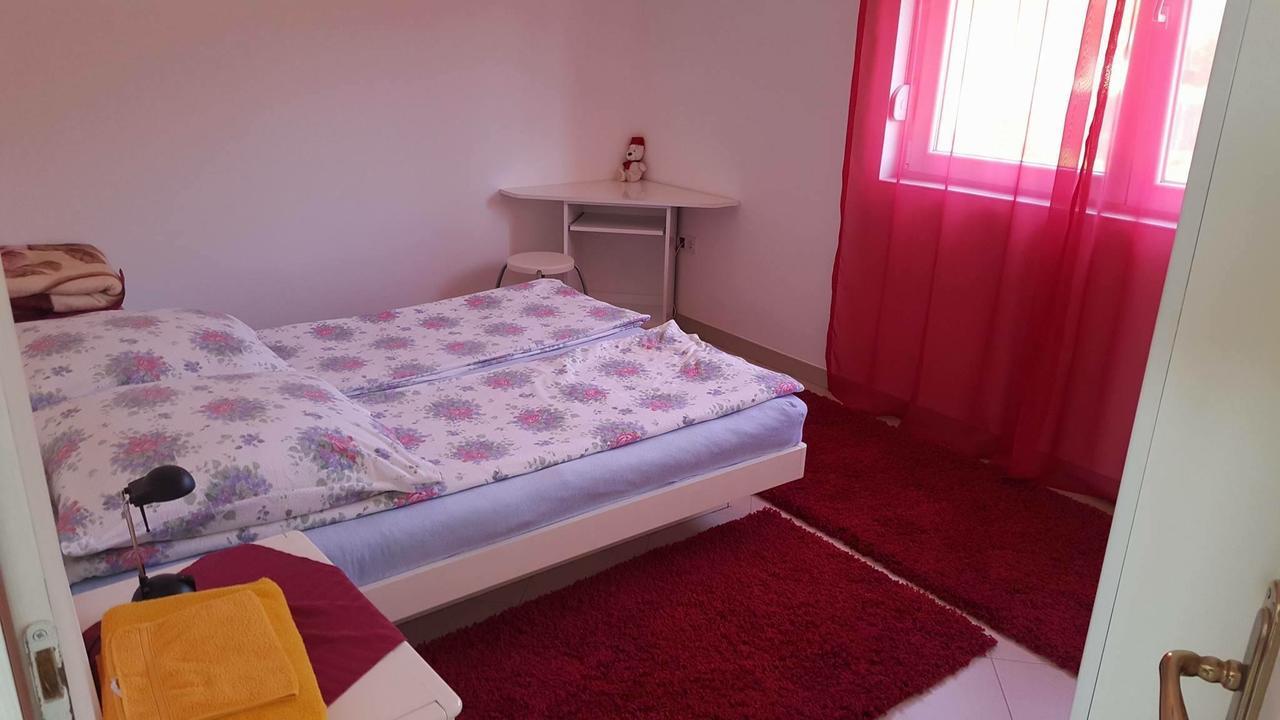 Guesthouse Rebel Deliblato Ngoại thất bức ảnh